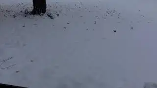 Record Breaking Minnesota Snowfall Timelapse - October 2020