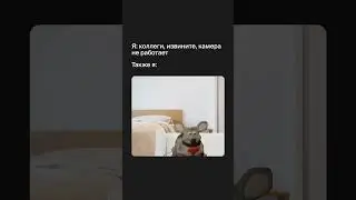 ЭТИ ТИХУШНИКИ))