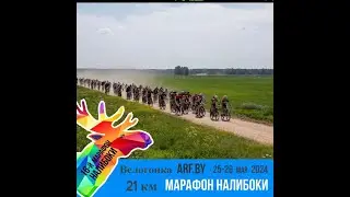 Велогонка 