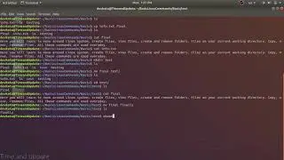 Basic Linux Commands: Get Started with Linux CLI
