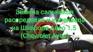 Замена сальников распредвала и коленвала на Шевроле Авео 1.5 (Chevrolet Aveo)