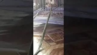 chuôt lang mukbang 