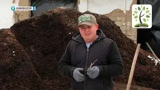 Уй шароитида компост тайёрлаш ҳақида Пётр Плехановдан ажойиб маҳорат дарси👏