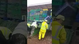 Англия работа . Anglya ish seasonal work