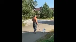 3 августа 2024 г.