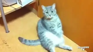наша жизнь