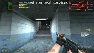 css 6