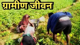 India 🇮🇳 Village Life Documentary in Urdu Hindi | Rural Village Lifestyle |