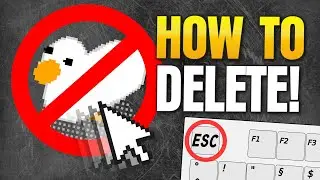 HOW TO DELETE DESKTOP GOOSE!