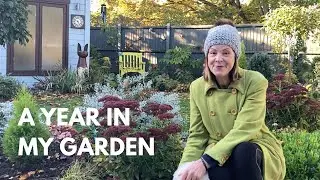 How My English Garden Changed In Just One Year 🌺🌺🌺