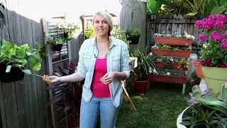 Small Space Gardening