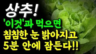 상추 아직도 쌈으로만 드시나요? | 상추와 함께 먹으면 불면증, 눈 건강, 혈관 건강에 특효약이 되는 음식 3가지와 레시피