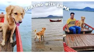 My dog stops the boat herself 😂@EmmatheGR#goldenretriever #funny #pets #cute #puppy