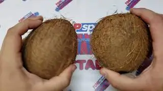 how to shave your coconuts