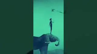 описание не требуется)