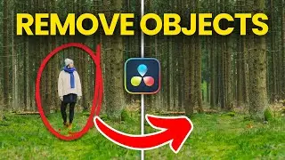 How to Remove Objects in DaVinci Resolve Studio
