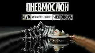 ПНЕВМОСЛОН - Королева
