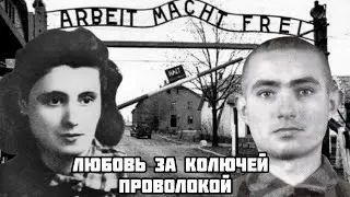 Удивительная история любви из Аушвица ❤️ Ромео и Джульетта Освенцима история 