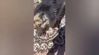 Наши будни