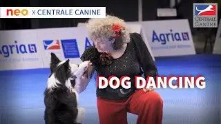 DOG DANCING - Neo x Centrale Canine