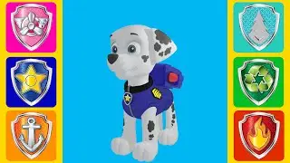PAW Patrol: Wrong clothes for Marshall