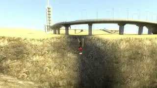 bird falls to his demise the movie