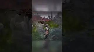 Head banging Shield Bros - Elden Ring