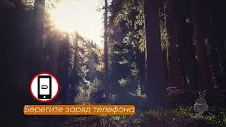 Правила поведения, если потерялся в лесу
