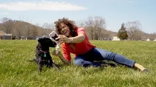 Cuddle Clones - Adopt Me Maybe with Lyrics