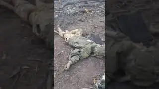 Последствия встречного ожесточенного боя