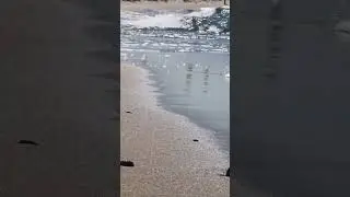 Прекрасное море🌊 Янтарный,  Калининградская область