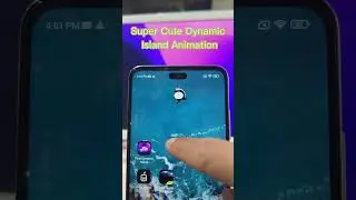 Little Dinosaur and Cat's Claw dynamic island animation