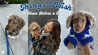 EVERYTHING I WISH I KNEW BEFORE GETTING A PUPPY | Essential Tips + Puppy Blues (1 MONTH LATER)