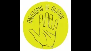 Anatomy of Action