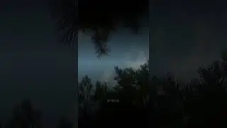 Не двигайся, постой…