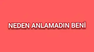 REYNMEN - NEDEN ANLAMADIN BENİ