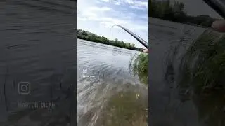 Поплавок для різноманіття ☝️✅ 