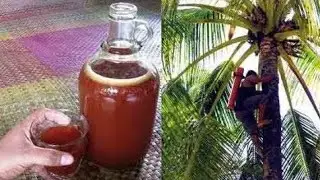 Episode #6, pagbisita sa amin bahay at pag inum nang coconut wine, oh tuba neh papa.