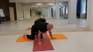 поза Саранчи. Связка Сфинкс- Саранча.