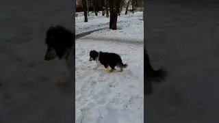 8 июня 2021 г.