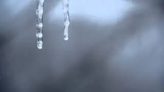 907655931