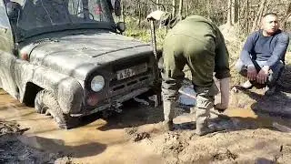 грязь в лесу