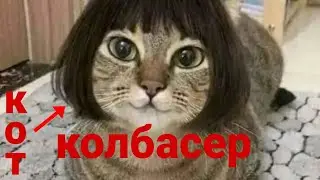 БОЧКА БАСС КОЛБАСИТ СОЛО КОЛБАСЁР ПО ПОЯС ГОЛЫЙ / смешные котики клип
