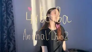 Animal ДжаZ - чувства | кавер
