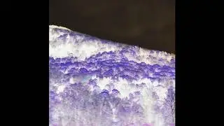 MAG.LO x O_SUPER / EBONEEZAH