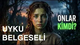 800 Yıllık 