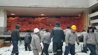КАК  МЫ  ГРУЗИЛИ  8500  ТОНН КРИЛЯ   И  КАЛЬМАРА   В  АНТАРКТИДЕ   И  НА  ФОЛЬКЛЕНДСКИХ  ОСТРОВАХ  !