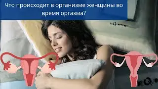 Что происходит в организме женщины во время оргазма?