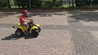 Lem Quad(2)