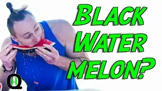 S3E19 We Try BLACK JAPANESE WATERMELON!